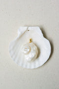 Conch seashell charm