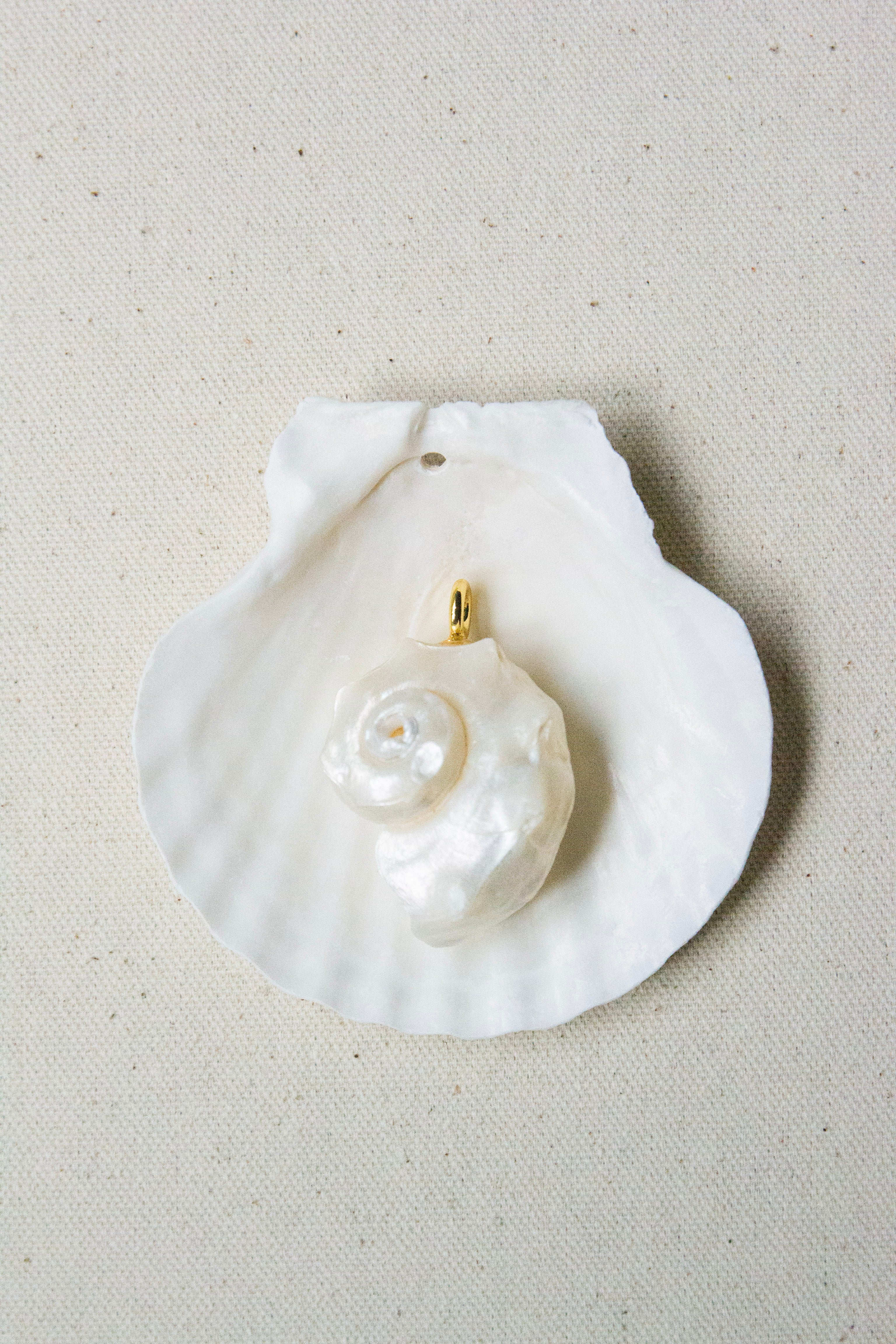 Conch seashell charm