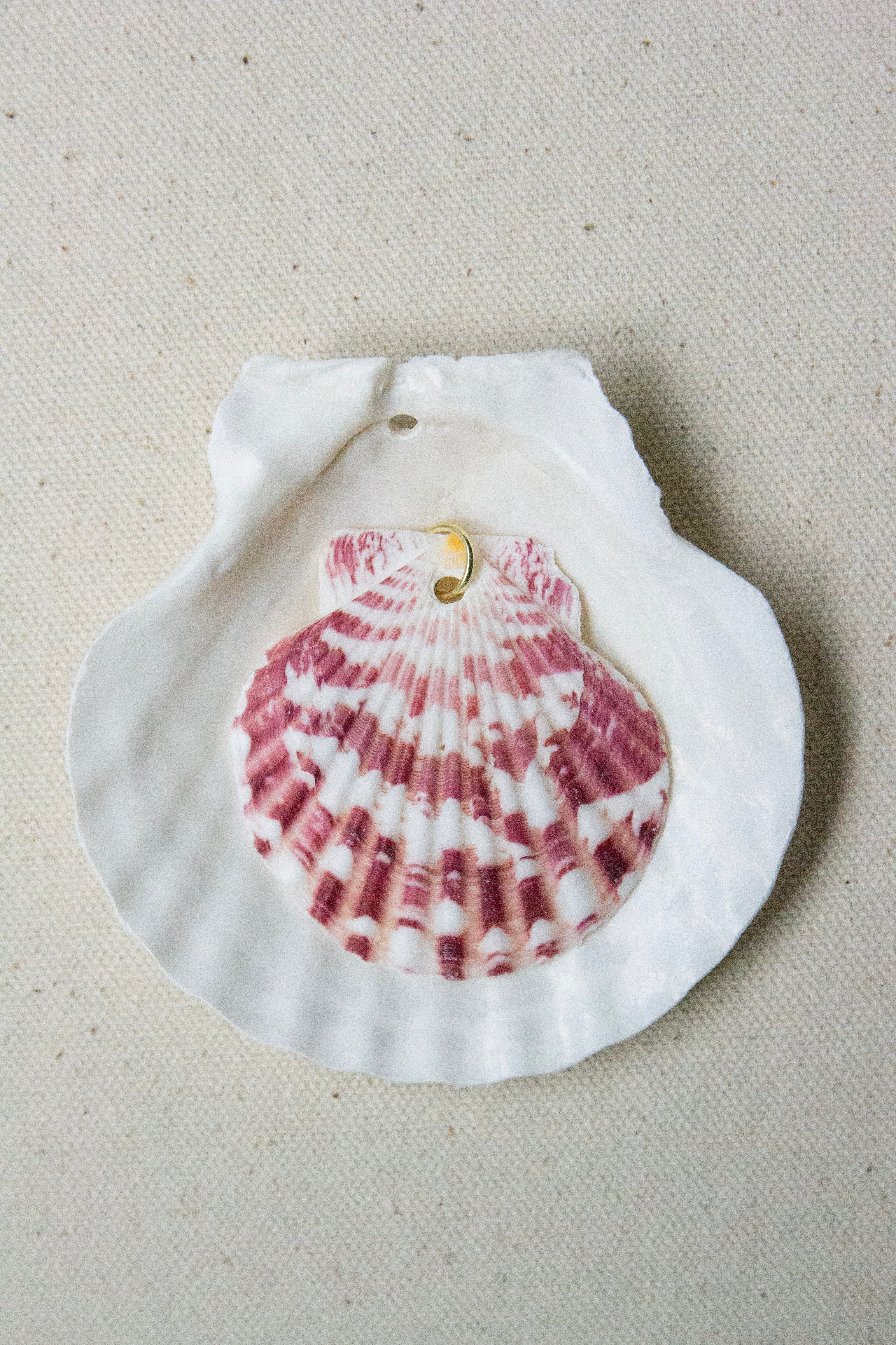 Purple scallop shell charm