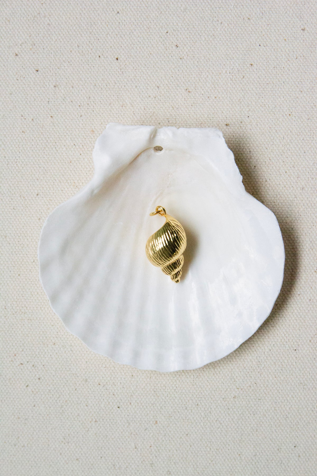 Spiral shell gold charm