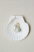 Spiral shell charm