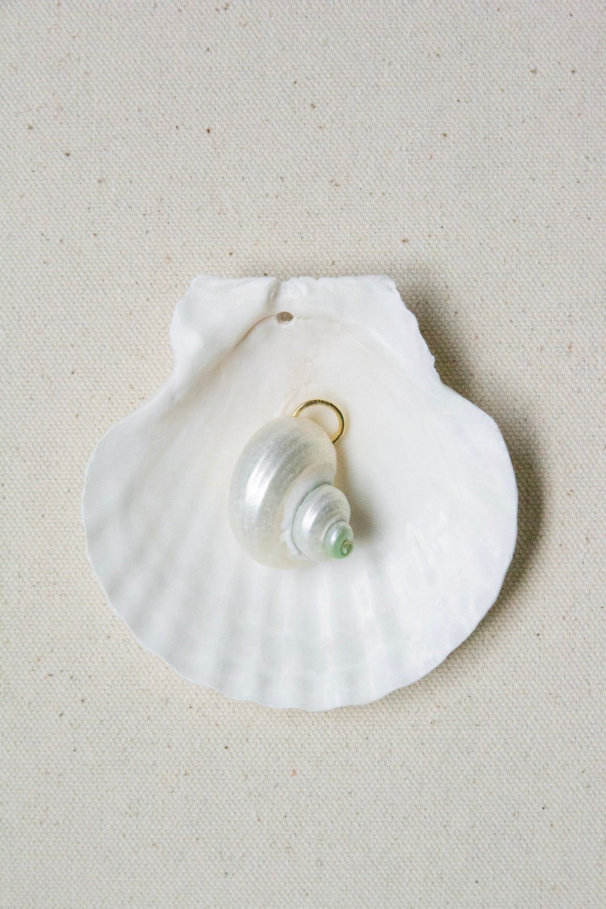 Spiral shell charm