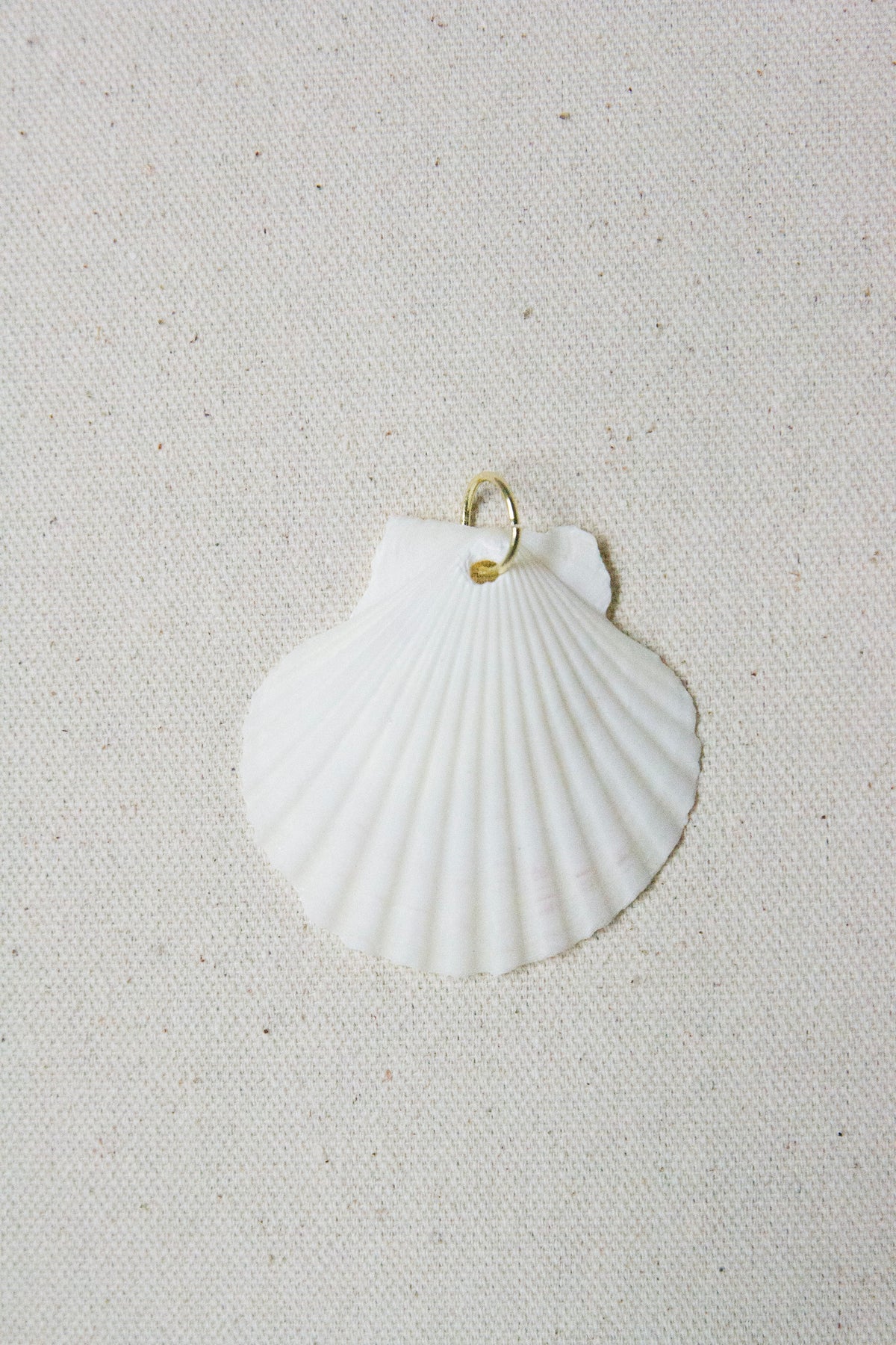 White scallop shell charm